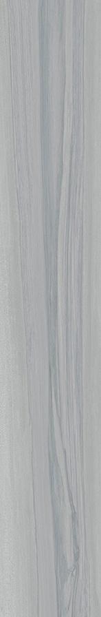MFP165101-R
